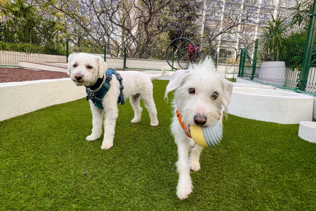 Ellos también sienten.